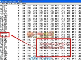 [Exception] CheckItemList.txt 加载错误!!! 详细解决步骤。