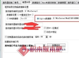 GEE GOM引擎BDE和ACCSEE SQLITE数据库有什么区别