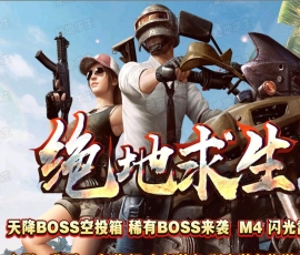 正版绝地求生吃鸡冰雪版免费服务端[GOM引擎]