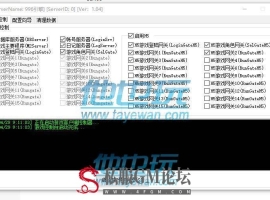 特殊物品设置代码 996引擎装备表说明