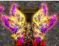 代号2238-传奇衣服素材带特效-炫彩翅膀衣TX