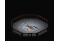 城市系列八角擂台地图素材