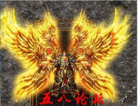 代号2241-传奇衣服素材带特效